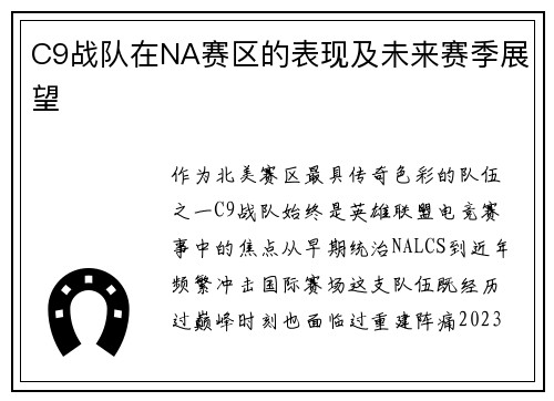 C9战队在NA赛区的表现及未来赛季展望
